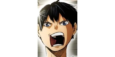 �ϥ����塼!! ���ƥ��顼�� ��23�á�Ʊ��1���סڥե륫�顼��