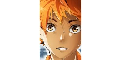 �ϥ����塼!! ���ƥ��顼�� ��30�á����Ӥ����סڥե륫�顼��