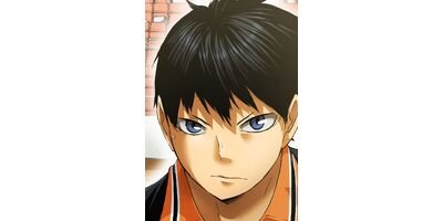 �ϥ����塼!! ���ƥ��顼�� ��57�á֡ȥ֥쥤���ɡסڥե륫�顼��