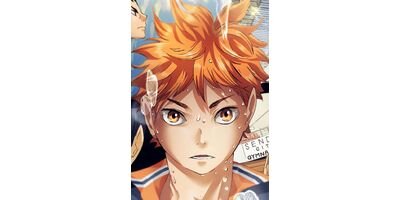 �ϥ����塼!! ���ƥ��顼�� ��65�á�����סڥե륫�顼��