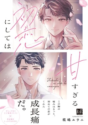 ˤƤϴŤñǡŻҸޥաۤɽ