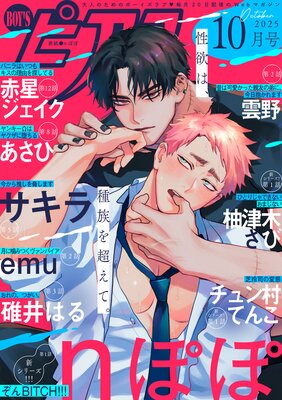 BL漫画 24冊 まとめ売り 鹿乃しうこ 新田祐克 菊の助 BL漫画 24冊 まとめ売り 鹿乃しうこ 新田祐克 菊の助 漫画