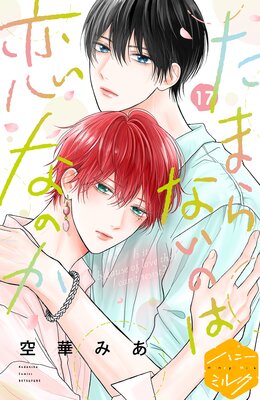 ���ޤ�ʤ��Τ����ʤΤ� ʬ���� 17��