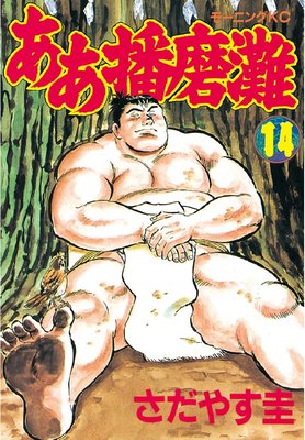 ���������� 14��