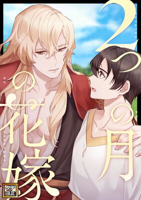 2�Ĥη�βֲǡڥե륫�顼��