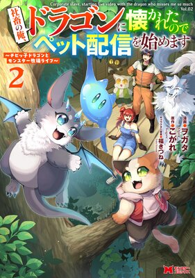 ܤβɥ饴˲줿ΤǥڥåۿϤޤӥûҥɥ饴ȥ󥹥Ҿ饤աʥߥå