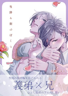 雪降る街のぼくらの表紙