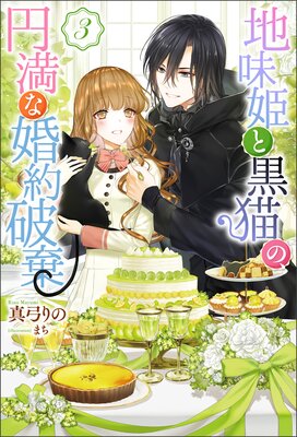 ��̣ɱ�ȹ�ǭ�Ρ������ʺ����˴��ʥΥ٥�� 3