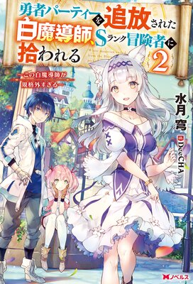 ͦ�ԥѡ��ƥ������������줿����Ƴ�ա�S��������Ԥ˽����� ����������Ƴ�դ����ʳ���������ʥΥ٥�� 2