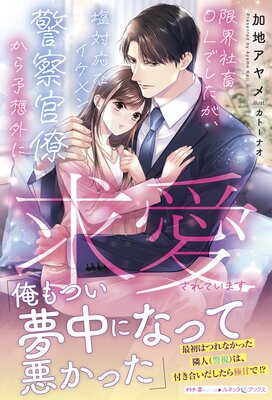 �³�����OL�Ǥ����������б��ʥ������ٻ���ν����ͽ�۳��˵ᰦ����Ƥ��ޤ�