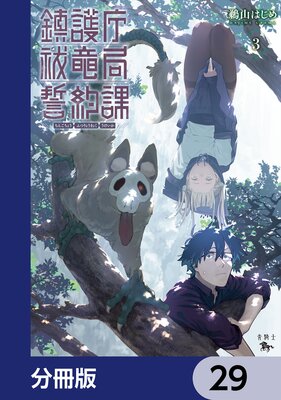 �ø�ģ�ε������ݡ�ʬ���ǡ� 29