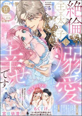 ̵Ũ����S��girl 2025ǯ11����ɽ��