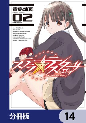 ���ƥ顦�ƥ������å���ʬ���ǡ� 14