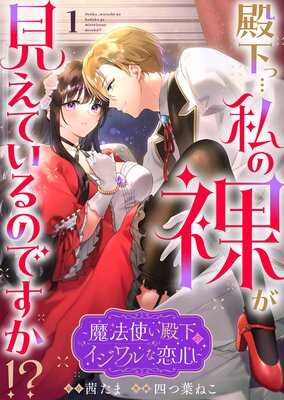 殿下っ…私の裸が見えているのですか！？ ～魔法使い殿下のイジワルな恋心～の表紙