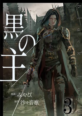 ���μ��ñ���ǡ� 3