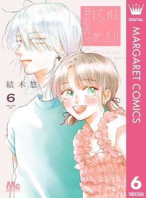 君を忘れる恋がしたい 6の表紙