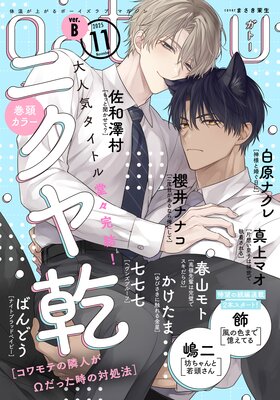 gateau （ガトー） 2025年11月号 ver.Bの表紙