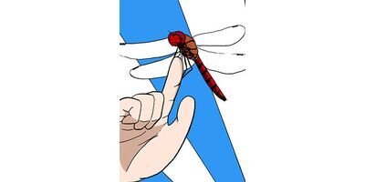 ���Ĥ���������� ���㥰�ޥ����� ���ƥ��顼�� ��11�� ����Τդ������꡼����37�� �����ȥ�ܤΤդ����ڥե륫�顼��