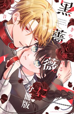 ���䤹�������ʹ��鯤� �٥ĥե�ץ���ɽ��