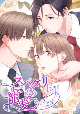 ���ѥ����ʤ�����������Ƥޤ��ڥե륫�顼�ۤ�ɽ��