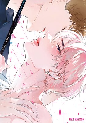 裏方くんとアイドルさま【電子限定かきおろし付】の表紙