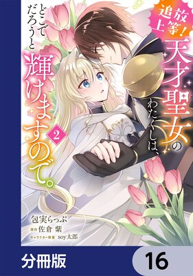 ���������� ŷ�������Τ錄�����ϡ��ɤ��Ǥ������ȵ����ޤ��Τǡ���ʬ���ǡ� 16