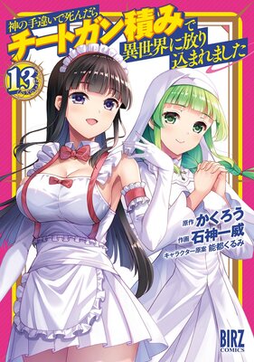 神の手違いで死んだらチートガン積みで異世界に放り込まれました (13) 【電子限定おまけ付き】の表紙
