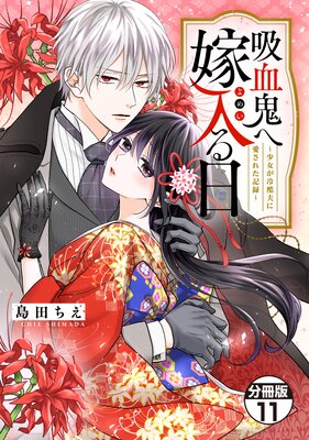 �۷쵴�ز�������������������פ˰����줿��Ͽ�� ʬ���� 11��