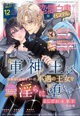 �������ѥ��ƥ�2025ǯ12���