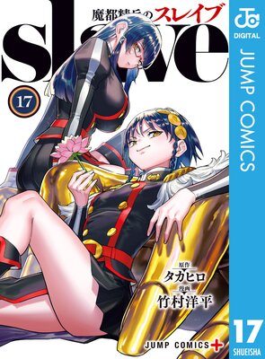 ������ʼ�Υ��쥤�� ���ߥ��顼�� 17