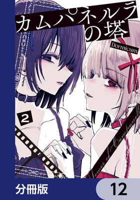 ����ѥͥ������ʬ���ǡ� 12