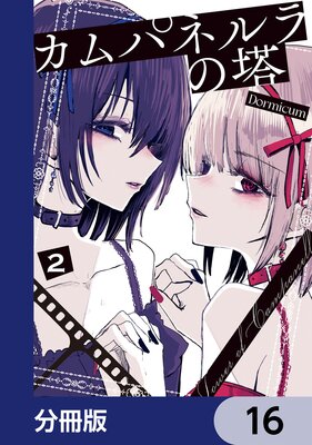 ����ѥͥ������ʬ���ǡ� 16