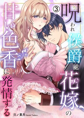 �������ߤϲֲǤδŤ������ȯ�𤹤�