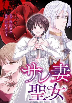 ����������ڥ��ƥ����ۡڥե륫�顼�ۤ�ɽ��