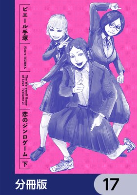 ���Υ�����������ʬ���ǡ� 17