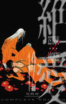 �䰦/BRONZE ������ 12