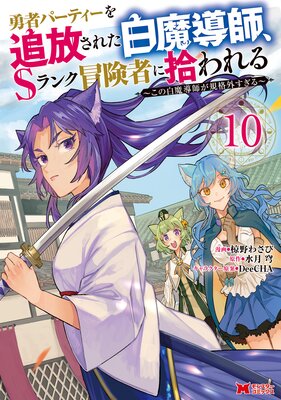 ͦԥѡƥ줿ƳաSԤ˽Ƴդʳʥߥå 1ɽ