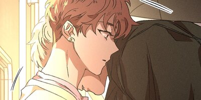 ���֥롦�ȥ�åס��ͤ������Τ���δ��38�áڥե륫�顼��