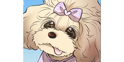 DOG SIGNAL�ڥ��ƥ����� Chapter139�ڥե륫�顼��