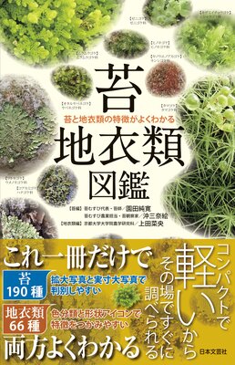 �ݡ��ϰ���޴�