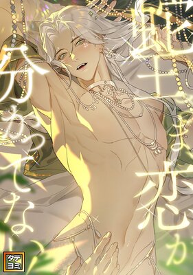 �ز����ޡ�����ʬ���äƤʤ����ڥե륫�顼�ۤ�ɽ��