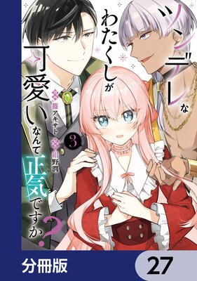 �ĥ�ǥ�ʤ錄�������İ����ʤ�������Ǥ�������ʬ���ǡ� 27