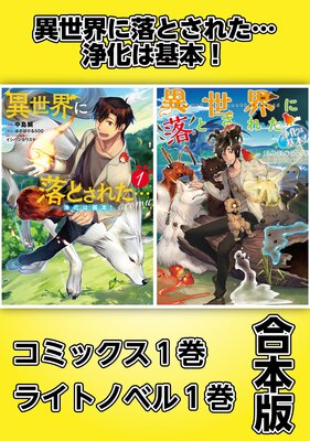 ����������Ȥ��줿�ľ����ϴ��ܡ��ڥ��ߥå���1�����饤�ȥΥ٥�1�������ǡۤ�ɽ��