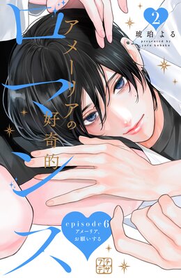 ���᡼�ꥢ�ι���Ū���ޥ� �ץ��ǥ� 6��