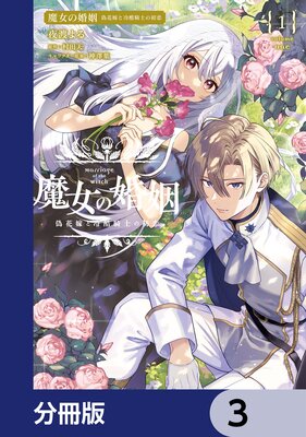 ����κ�����ʬ���ǡ� 3