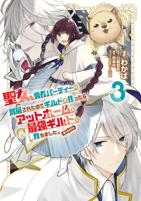 ������ͦ�ԥѡ��ƥ��������ۤ��줿�Τǥ���ɤ��ä��饢�åȥۡ���ʺǶ�����ɤ˰���ޤ�������COMIC ��3��