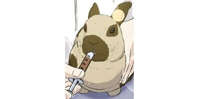 �ޥå��󥰥��ץ�Ǳ���Ĥ������������̤���ԡ� ��24�áڥե륫�顼��