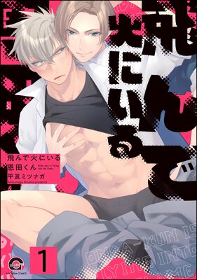 ����ǲФˤ��벸�Ĥ����ʬ���ǡˤ�ɽ��