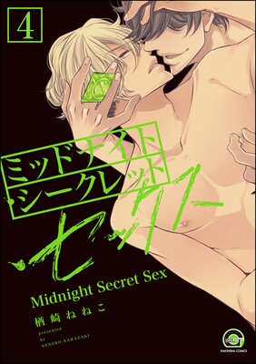 �ߥåɥʥ��ȡ���������åȡ����å�����ʬ���ǡ� ����4�á� �ڥ��꡼��2��