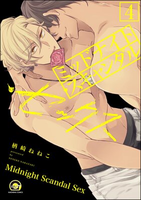 �ߥåɥʥ��ȡ����������롦���å�����ʬ���ǡ� ����4�á� �ڥ��꡼��4��